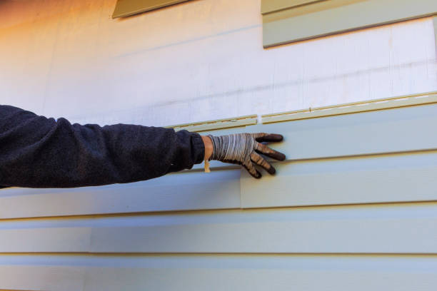 Custom Trim and Detailing for Siding